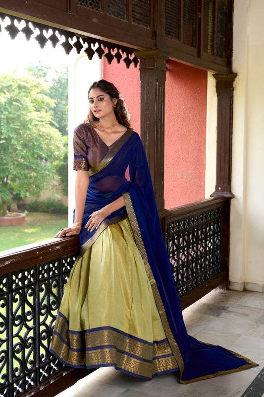 Awesome Kanchipuram Perrot Color Lehenga Choli