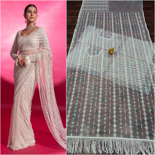 Fantastic Sequence Work Mono Net Saree