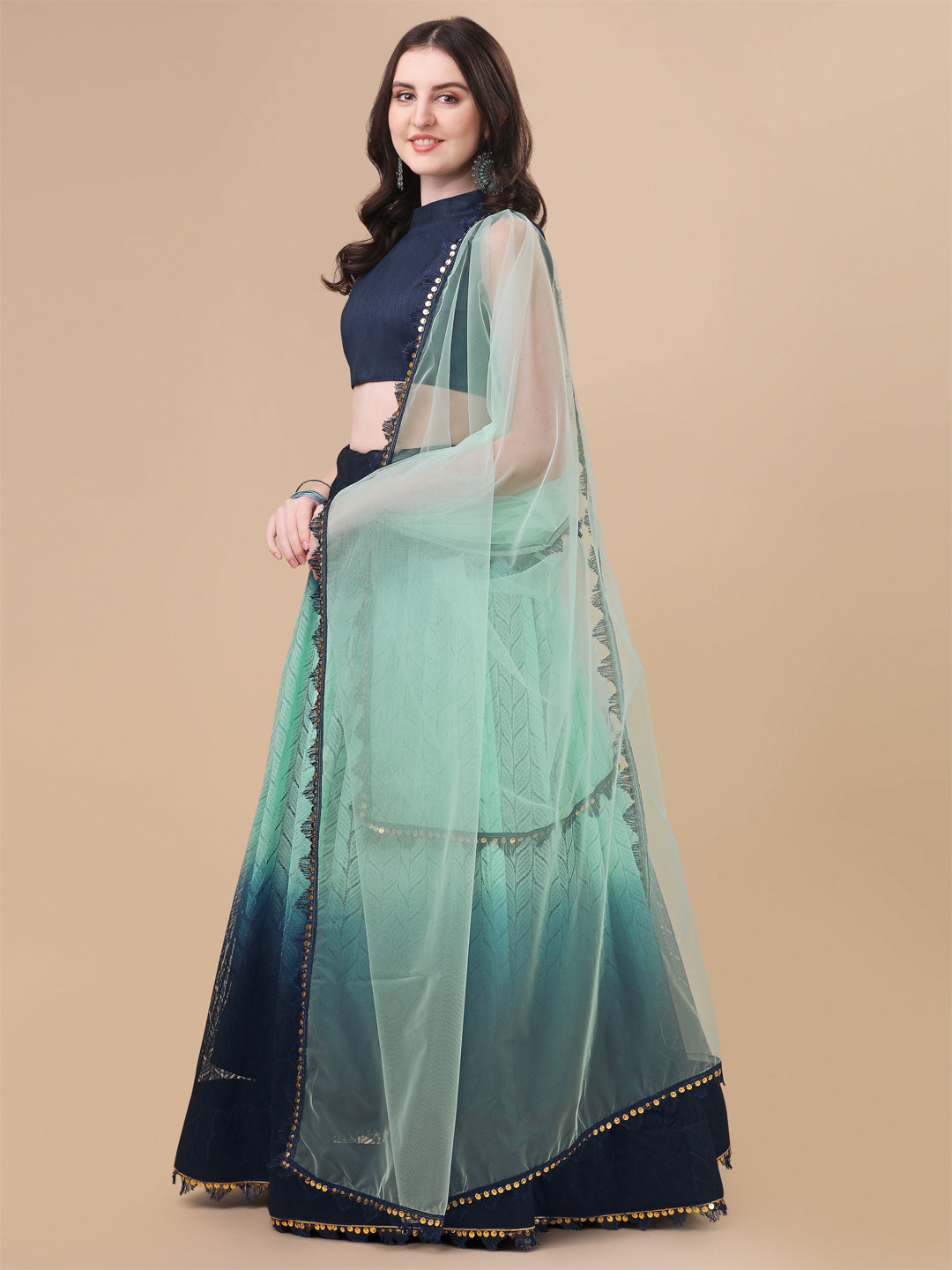 Blue Color Double Tone Rasal Net Lehenga Choli