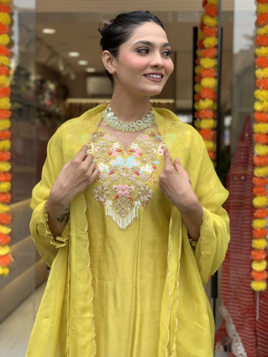 Beautifully designed that seamlessly combines tradition kurta set