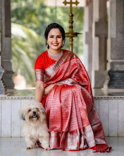 Wedding Red Color Jacquard Border Saree