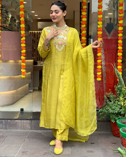 Beautifully designed that seamlessly combines tradition kurta set
