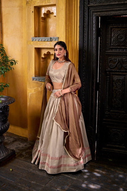 South Style Grey Color Slik Zari Weaving Work Lehenga Choli