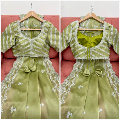 Exclusive Light Green Color Jimmy Chu And Thread With Sequence Work Saree