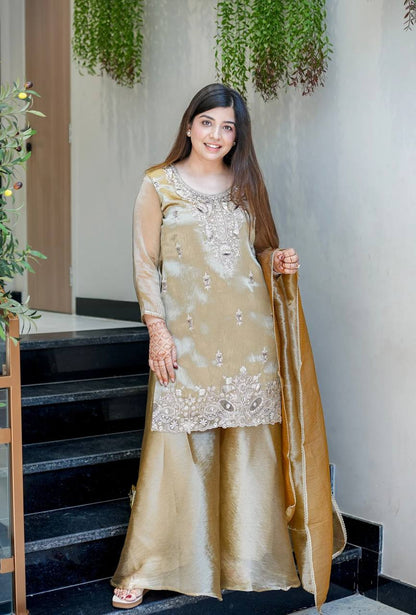 Elegant Beige Color Silky Silk Embroidered Palazzo Suit Set