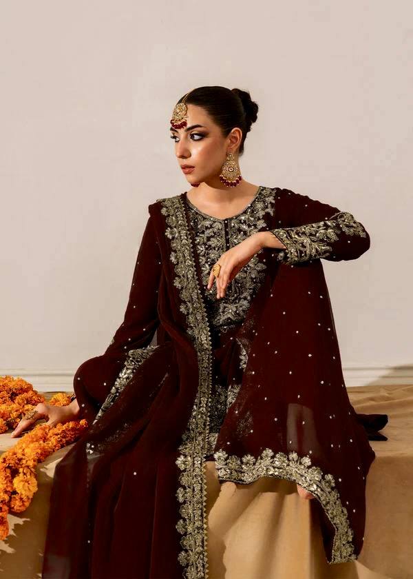 Elegant Brown Color Velvet Embroidered Pakistani Suit Set