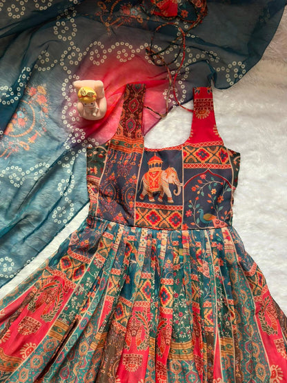 Beautiful Multi Soft Organza Patola Printed Anarkali Gown