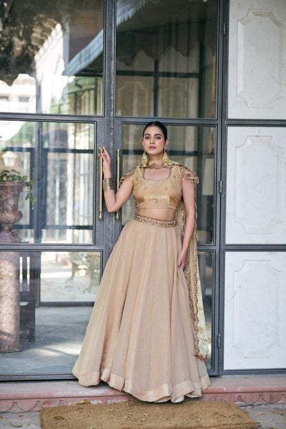 Wedding Wear Cream Color Embroidered Sequences Work Lehenga Choli