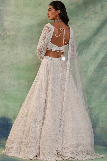 Adorable Butterfly Net White Color Lehenga Choli