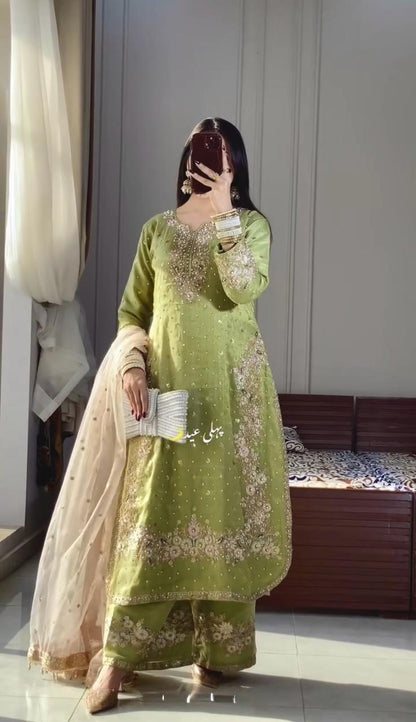 Elegant Jimmy Choo Sequence Work Perrot Color Palazzo Suit