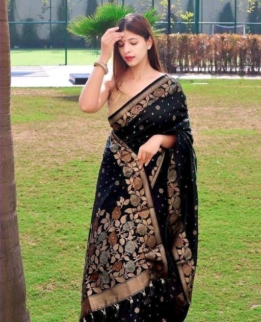 Grand Beautiful Rich Design Black Color Banarasi Saree