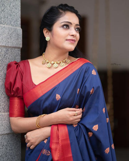 Blue Color With Red Border Jari Design In All OverSaree
