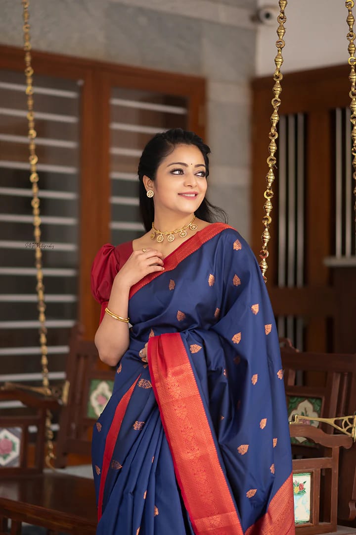 Blue Color With Red Border Jari Design In All OverSaree