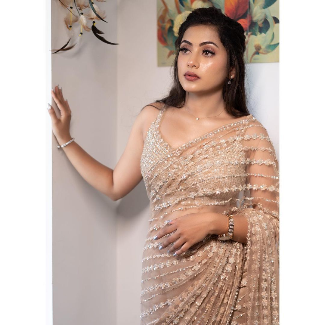Fancy Border Sequence Work Beige Color Net Saree