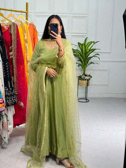 Pista Color Plain Gown With Work Net Dupatta