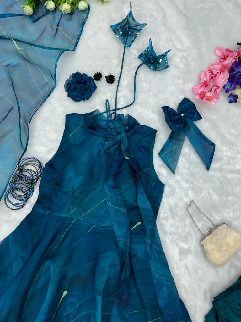 Wonderful Blue Color Organza Anarkali Suit