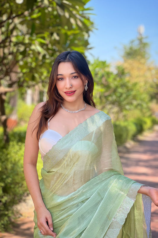 Beautiful Silver Swarovski Diamond Work Pista  Color Saree
