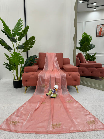 Fabulous Peach Color Jimmy Choo Silk With Hand Work Beautiful Organza Saree