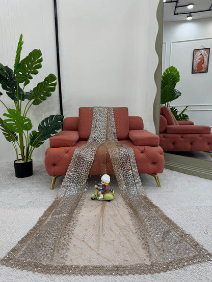 Beautiful Beige Color Soft Net With Sequence Work Designer Saree