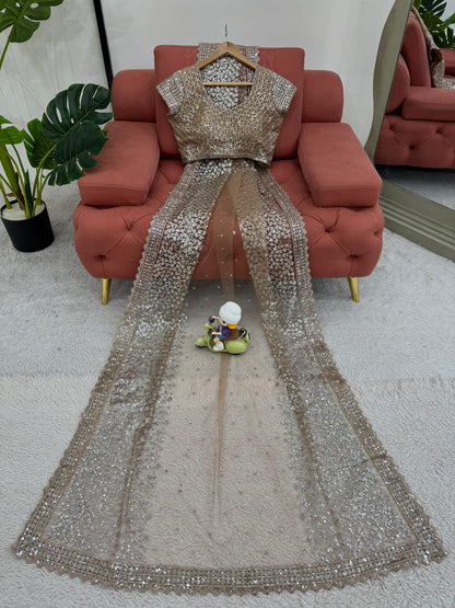 Beautiful Beige Color Soft Net With Sequence Work Designer Saree
