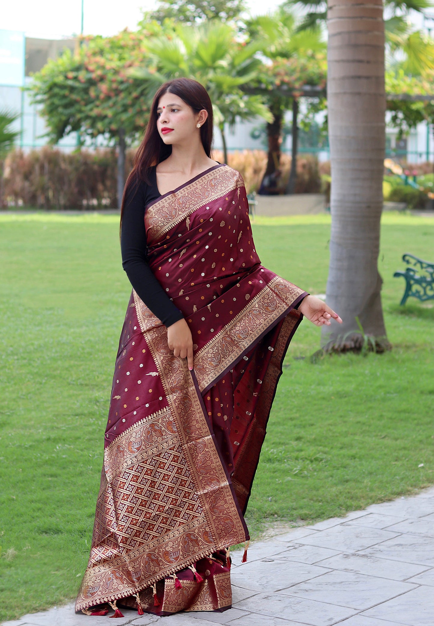 Copper And Golden Zari Border Maroon Color Saree
