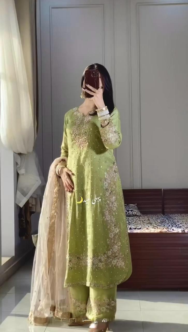 Elegant Jimmy Choo Sequence Work Perrot Color Palazzo Suit