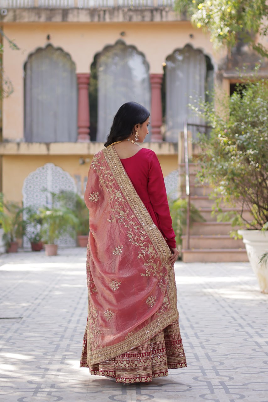 Imposing Vichitra Pink Color Gown