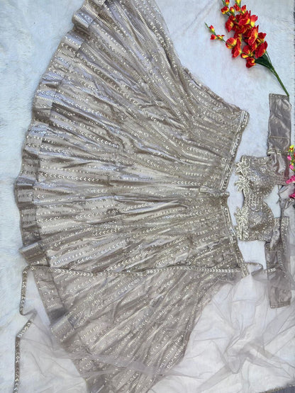 Glimmering Jari Work Silver Color Butterfly Net lehenga choli