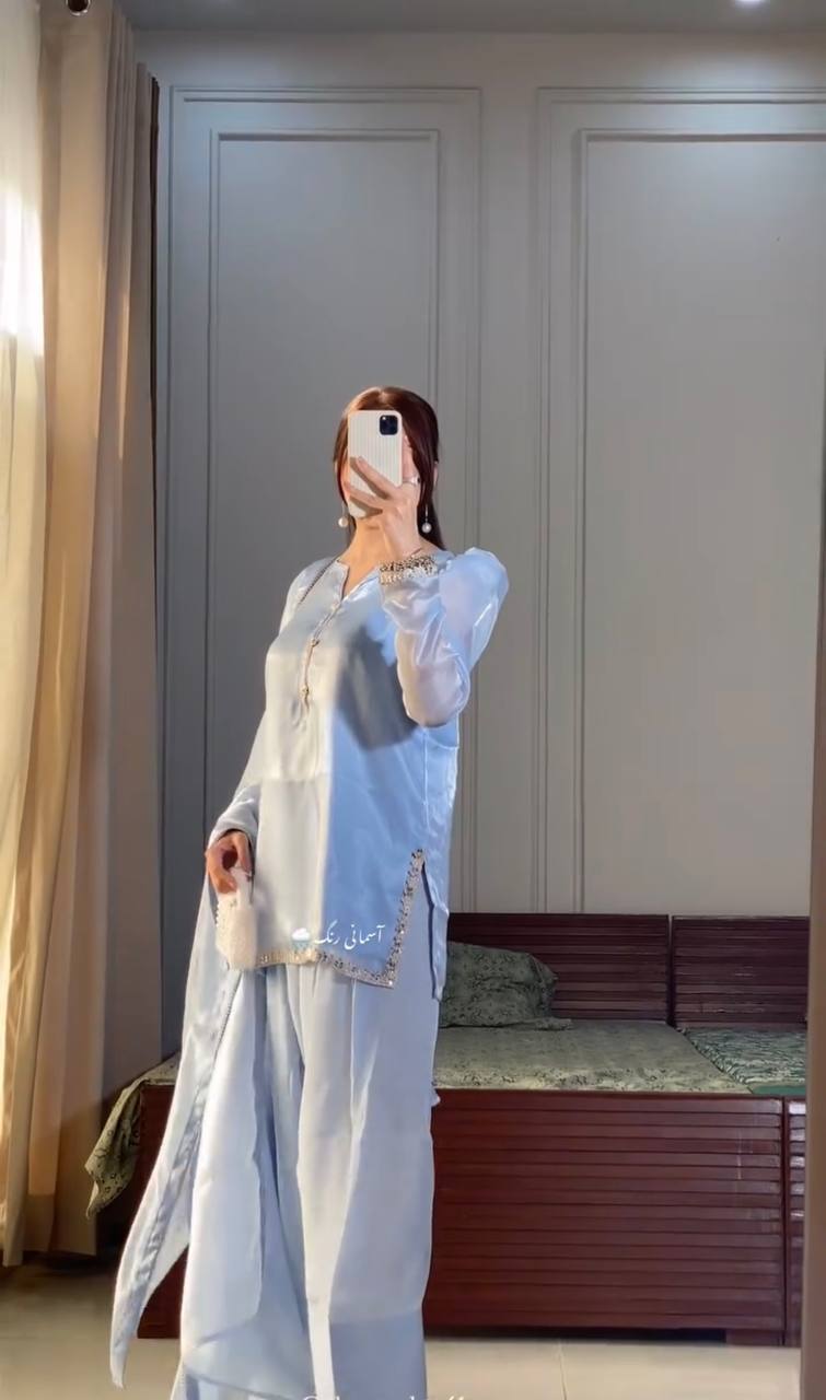 Decent Embroidery Work Grey Color Palazzo Suit