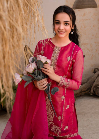 Lovely Sequence Work Pink Color Palazzo Suit