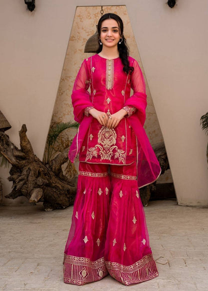 Lovely Sequence Work Pink Color Palazzo Suit