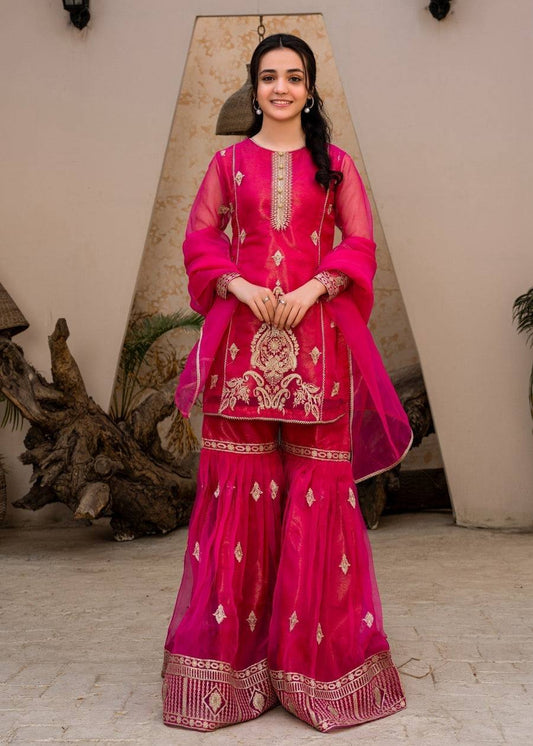 Lovely Sequence Work Pink Color Palazzo Suit