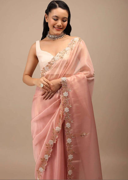 Lovely Border Work Peach Color Saree