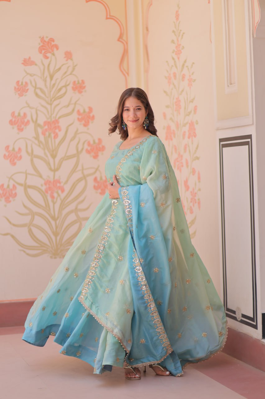 Mesmerizing Embroidered Work Sky Color Gown