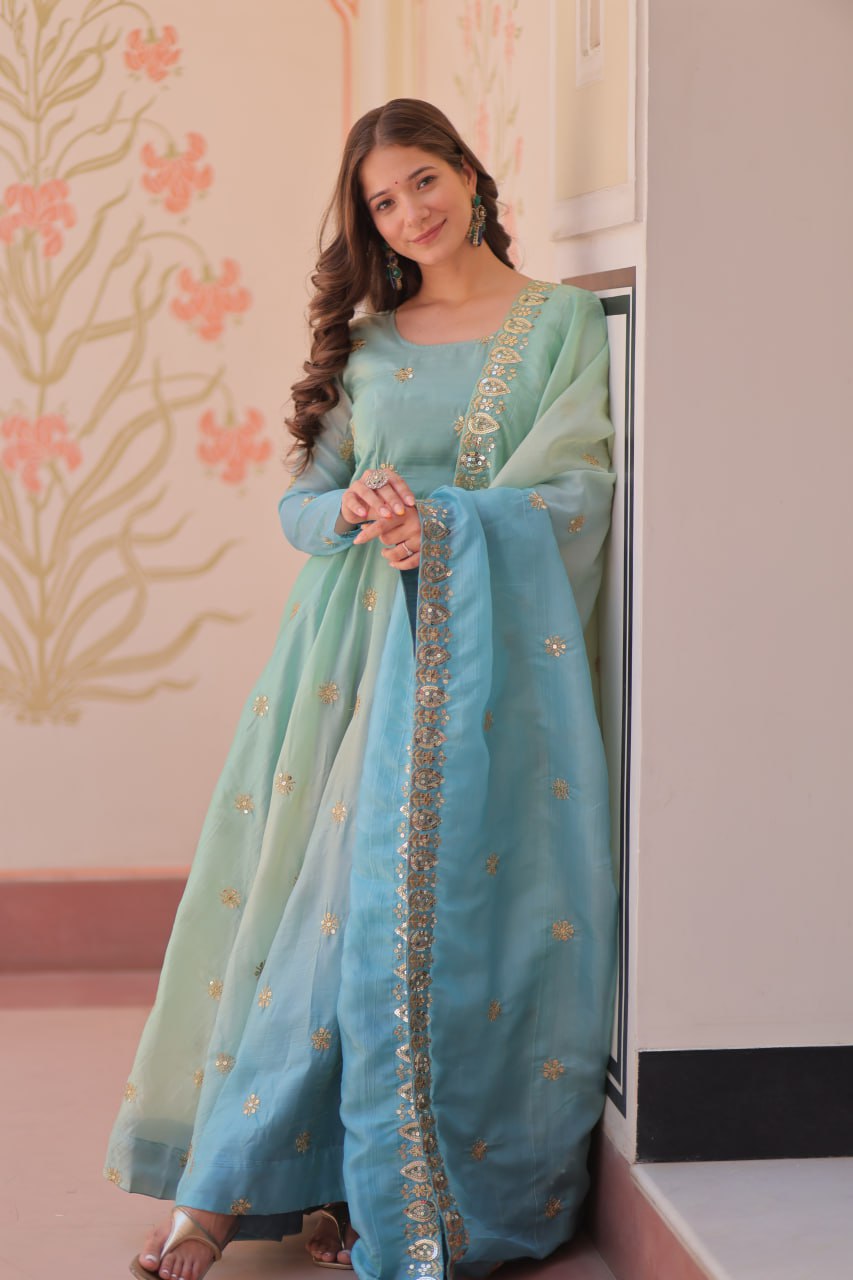 Mesmerizing Embroidered Work Sky Color Gown