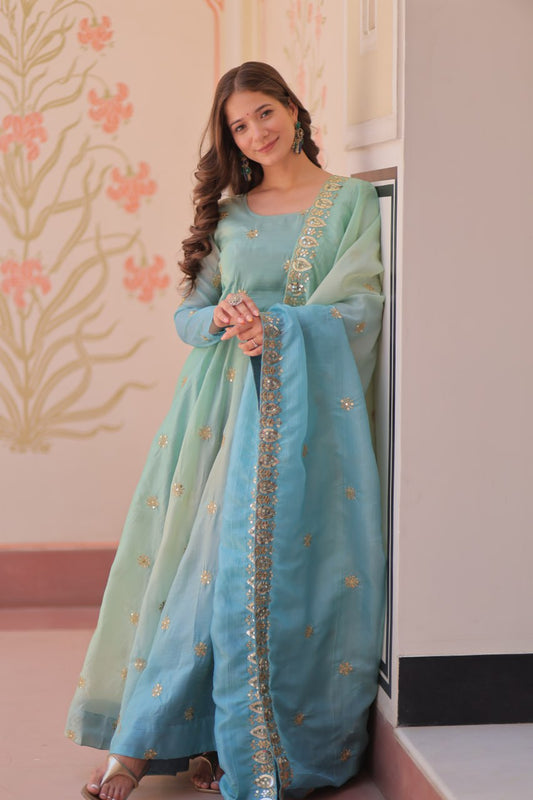 Mesmerizing Embroidered Work Sky Color Gown