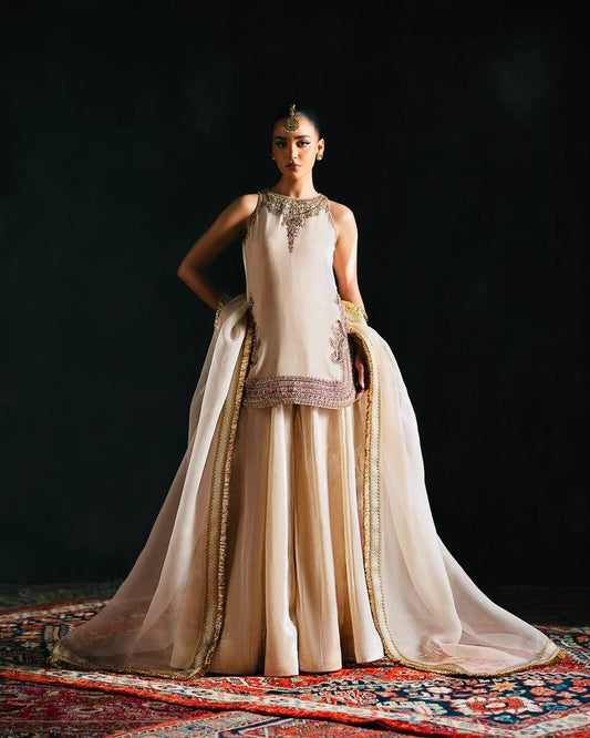 Off White Color Work Sequences Innovative Palazzo Suit