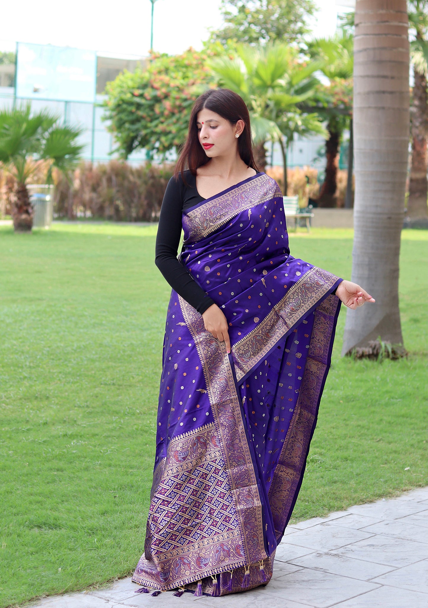 Copper And Golden Zari Border Purple Color Saree