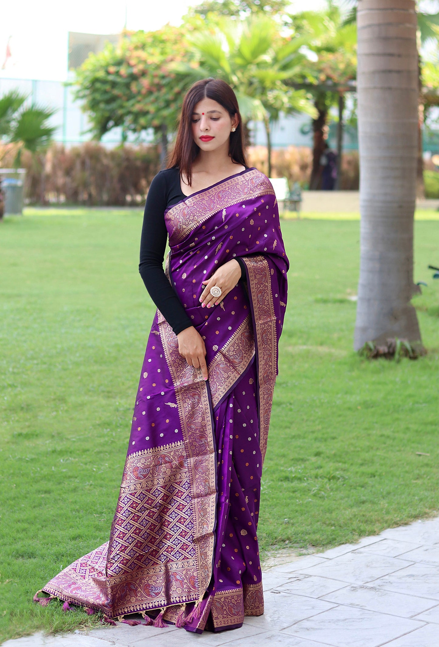 Copper And Golden Zari Border Wine Color Saree